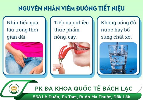 Triệu chứng viêm đường tiết niệu nam giới 