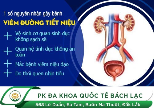 Bệnh Viêm Đường Tiết Niệu Ở Nam Giới