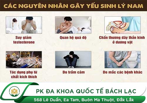 Nguyên nhân yếu sinh lý ở nam giới