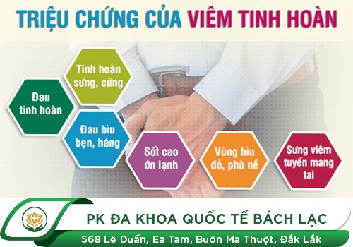 Viêm tinh hoàn điều trị thế nào hiệu quả?