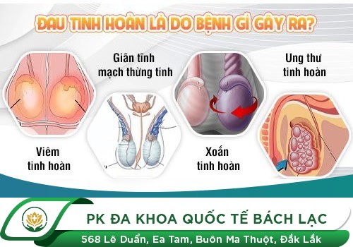 Hiện tượng đau tức tinh hoàn ở nam giới có nguy hiểm không?