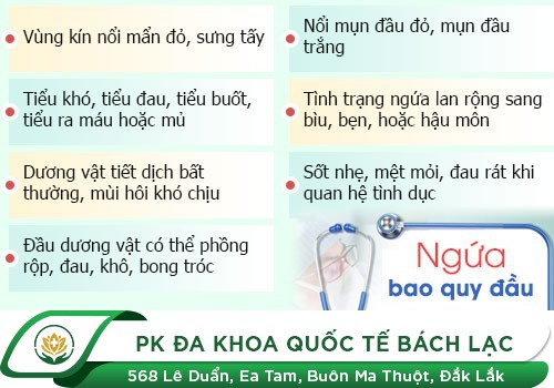 NGỨA BAO QUY ĐẦU LÀ DO BỆNH GÌ GÂY RA?