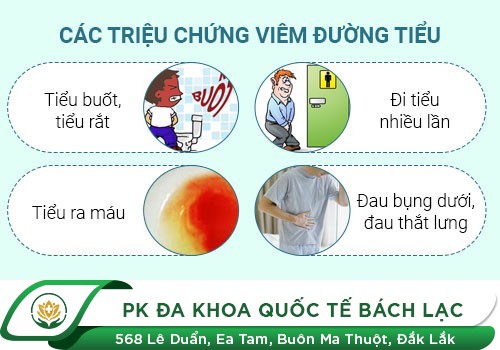 Lý giải nguyên nhân dương vật chảy mủ trắng 