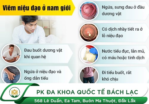 TRIỆU CHỨNG VIÊM NIỆU ĐẠO Ở NAM GIỚI
