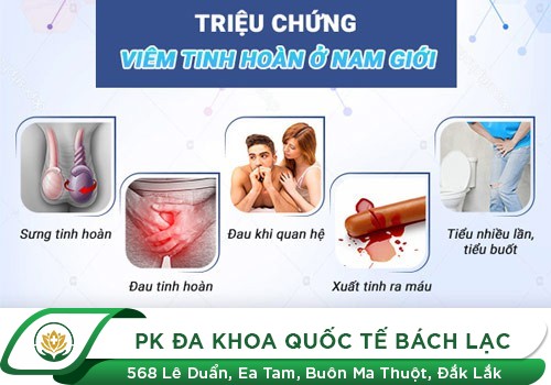 Làm Sao Trị Dứt Điểm Bệnh Viêm Tinh Hoàn