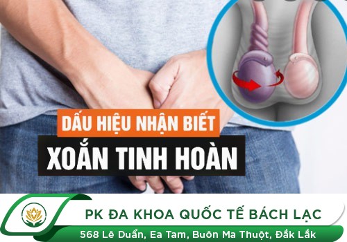 Các bệnh lý phổ biến về tinh hoàn thường gặp ở nam giới