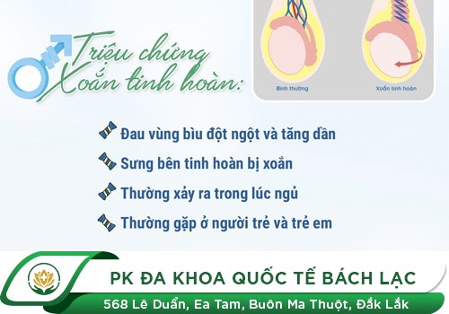 Xoắn tinh hoàn