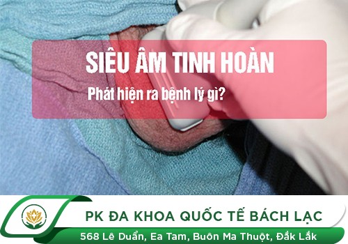 Siêu Âm Tinh Hoàn Biết Được Những Bệnh Gì