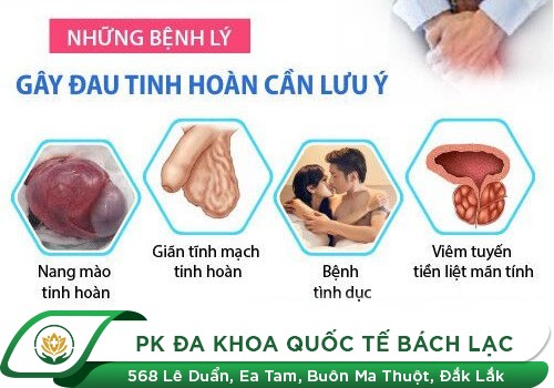 ĐAU TINH HOÀN TRÁI LÀ GÌ?