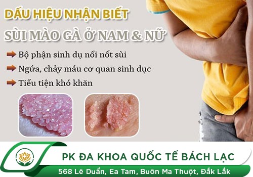 Bao quy đầu bị đau khi chạm vào là dấu hiệu bệnh gì