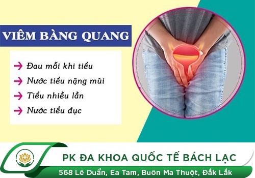 Tác hại nguy hiểm của bệnh viêm bàng quang