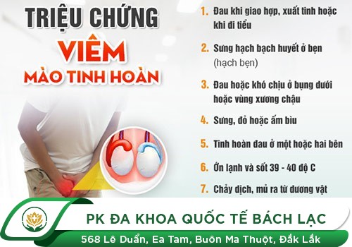 Hỗ trợ chữa bệnh viêm mào tinh hoàn thế nào là hiệu quả?