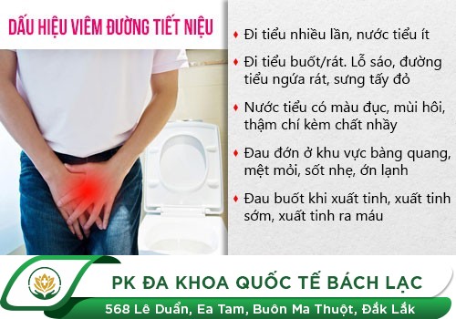 Kiểm tra triệu chứng cho thấy bạn có nguy cơ bị nhiễm trùng đường tiểu