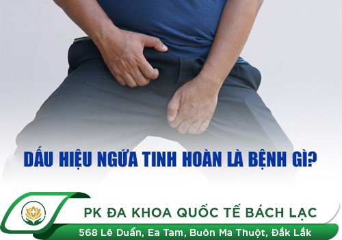 Ngứa tinh hoàn là triệu chứng của bệnh gì?
