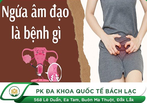 Hiện Tượng Ngứa Cửa Mình Ở Nữ Giới