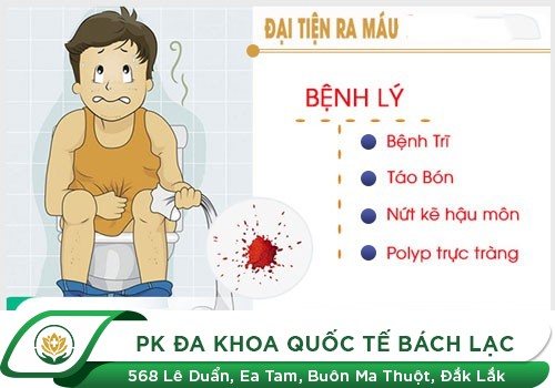 Đi Cầu Ra Máu Tươi Là Bệnh Gì - Điều Trị Như Thế Nào