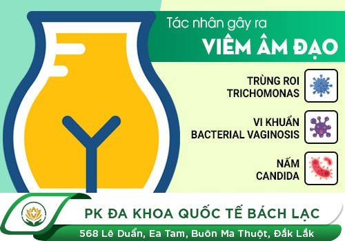 Cách làm giảm sưng vùng kín tại nhà hiệu quả - Tư vấn để tham khảo