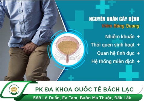 Bệnh Viêm Bàng Quang Và Những Điều Bạn Chưa Biết