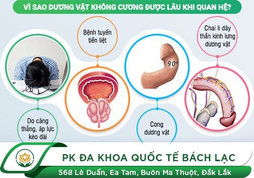 Hỗ Trợ Điều Trị Bệnh Yếu Sinh Lý Hiệu Quả