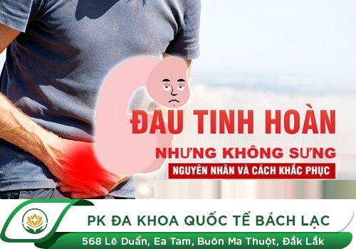 Các Bệnh Về Tinh Hoàn Ở Nam Giới