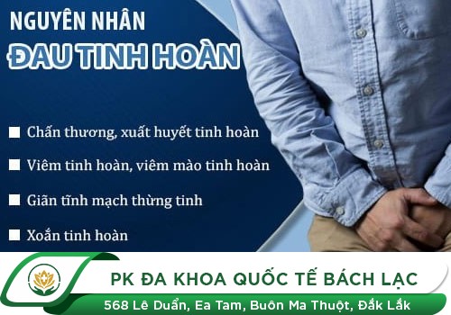 Đau tinh hoàn - Dấu hiệu báo động cho nam giới