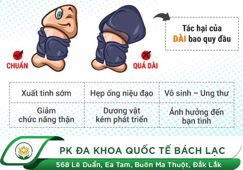 Dài Bao Quy Đầu Là Gì? Một Số Hình Ảnh Dài Bao Quy Đầu Ở Nam Giới