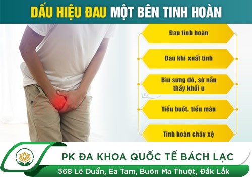 Giải Mã Những Cơn Đau Ở Tinh Hoàn