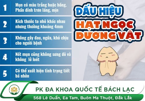 Cách Phân Biệt Sùi Mào Gà Và Hạt Ngọc Dương Vật