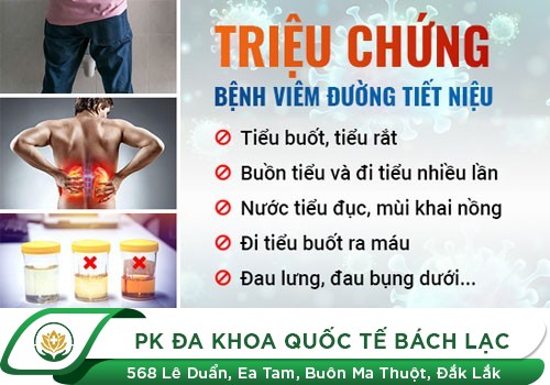 Viêm Đường Tiết Niệu - Chẩn Đoán Dễ Dàng, Điều Trị Đơn Giản