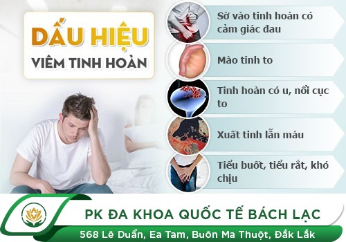 Triệu Chứng Viêm Tinh Hoàn Ở Nam Giới