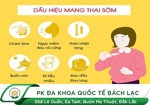 Dấu Hiệu Mang Thai Hiện Nay? Độ Chính Xác Của Que Thử Thai