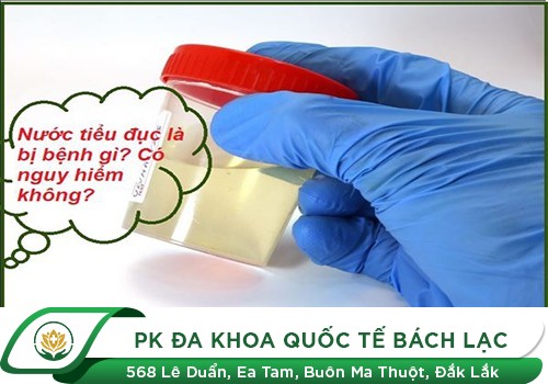 Nước Tiểu Đục, Có Bọt - Dấu Hiệu Cảnh Báo Bệnh Lý Đường Tiết Niệu