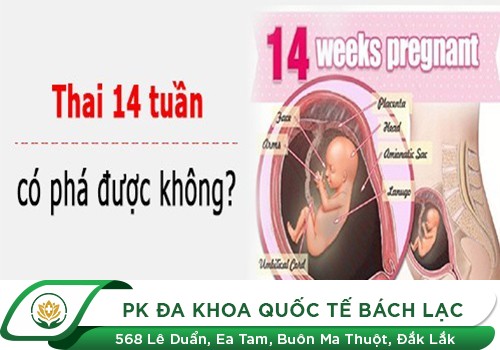 Chi Phí Phá Thai Lớn Tuần Với Thai Từ 10 Tuần Tới 15 Tuần