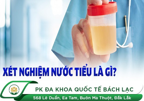 Các phương pháp xét nghiệm có thai? Chi phí thực hiện hết bao nhiêu?