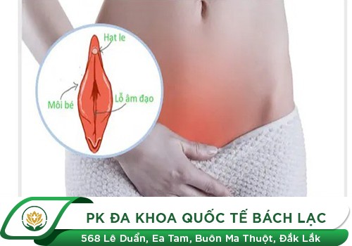 Hột Le Bị Đau Là Bị Gì? Tìm Hiểu Nguyên Nhân Và Cách Chữa Trị Hiệu Quả