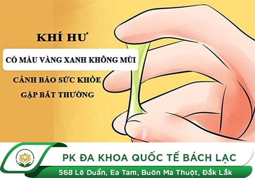 Thuốc Chữa Trị Khí Hư Hiệu Quả Ở Nữ Giới