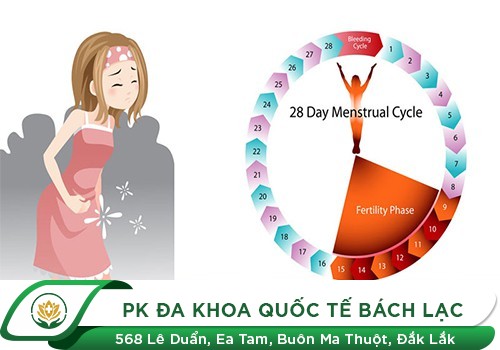 Tổng Đài Tư Vấn Về Kinh Nguyệt