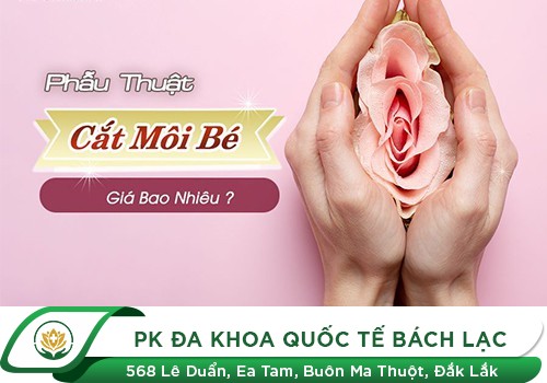 Cắt Môi Bé Vùng Kín Giá Bao Nhiêu?