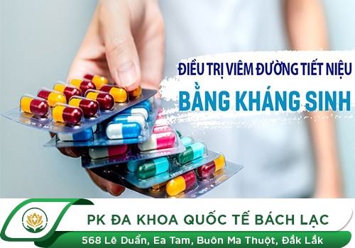 Thuốc điều trị viêm đường tiết niệu hiệu quả