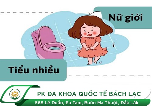 30 Phút Đi Tiểu Một Lần Là Bệnh Gì? Nguy Hiểm Nếu Kéo Dài Tình Trạng