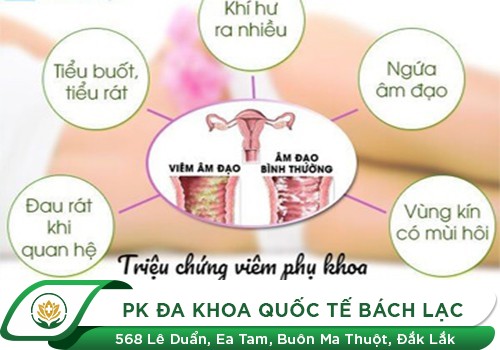 Viêm vùng kín ở nữ giới là bệnh gì