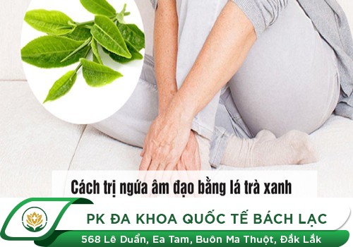 Các Cách Tự Nhiên Giúp Giảm Ngứa Vùng Kín Hiệu Quả