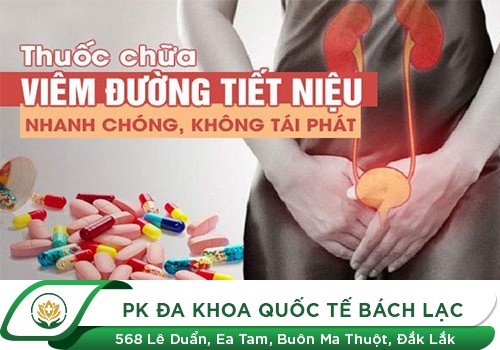 Điều trị viêm tiết niệu