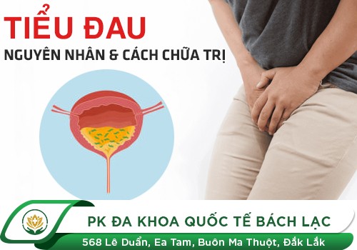 Đi tiểu bị đau cảnh báo bệnh gì? Nguyên nhân và cách điều trị