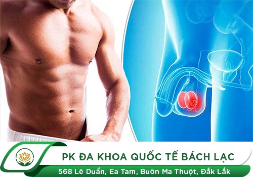 Sưng Vùng Bìu Ở Nam Giới Có Nguy Hiểm Không