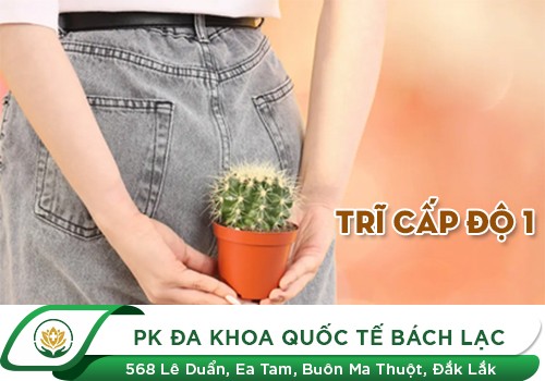 Trĩ cấp độ 1 là như thế nào?
