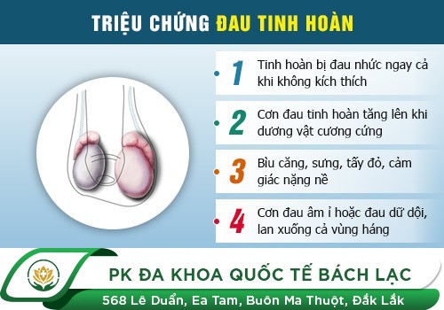 Đau Tinh Hoàn Là Dấu Hiệu Của Bệnh Gì