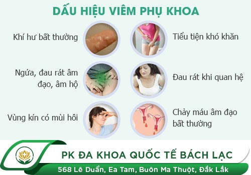 Triệu chứng nhận biết bệnh viêm nấm phụ khoa ở nữ giới