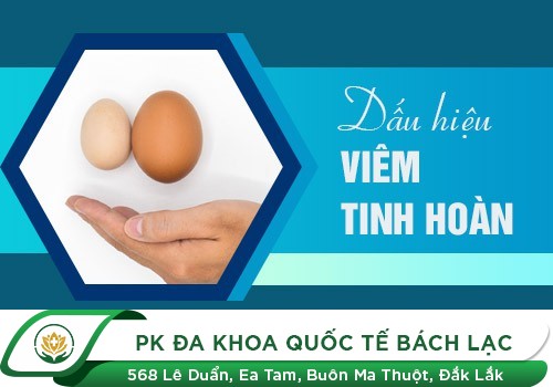 Hỗ Trợ Khám Và Chữa Bệnh Viêm Tinh Hoàn Tại Phòng Khám Đa Khoa Quốc Tế Bách Lạc