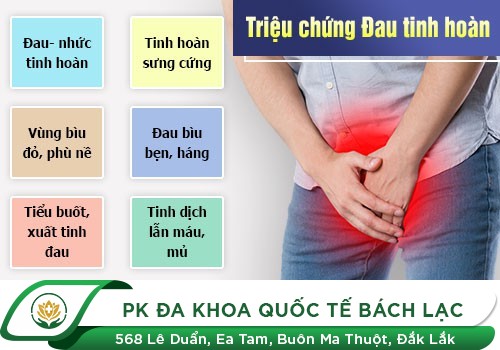 Viêm Tinh Hoàn - Căn Bệnh Nguy Hiểm Cần Cảnh Giác